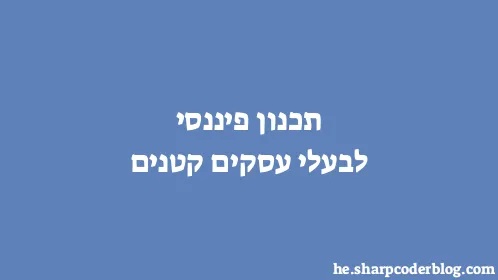 תכנון פיננסי לבעלי עסקים קטנים - Thumbnail