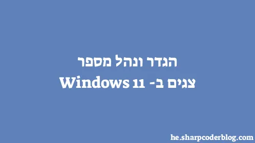 הגדר ונהל מספר צגים ב-Windows 11 - Thumbnail