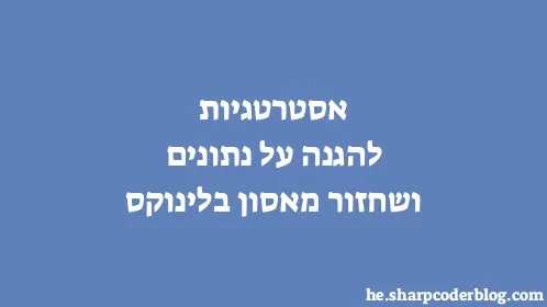 אסטרטגיות להגנה על נתונים ושחזור מאסון בלינוקס - Thumbnail