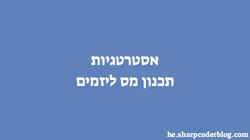 אסטרטגיות תכנון מס ליזמים - Thumbnail