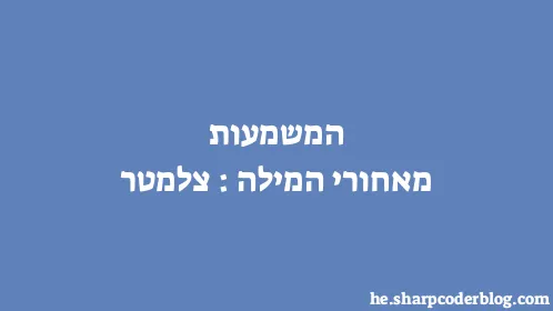 המשמעות מאחורי המילה: צלמטר - Thumbnail