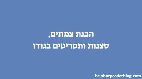 הבנת צמתים, סצנות ותסריטים בגודו - Thumbnail